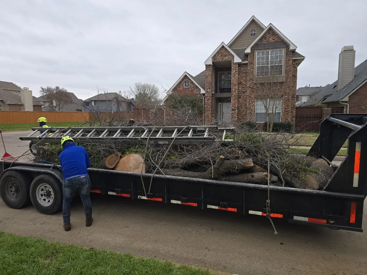 Expert Lot Clearing with proper safety equipment in Mize
